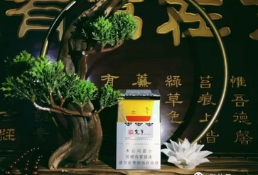 香烟批发特富意香烟好抽吗【香烟批发特富意香烟好抽吗多少钱】